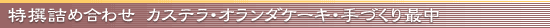 ����l�ߍ��킹�J�X�e���E�I�����_�P�[�L�E��Â���Œ�